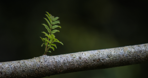 What Does Climate Change Mean For Your Super Balance Ascent Wealth Management